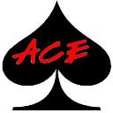 ACE Pool Repair logo